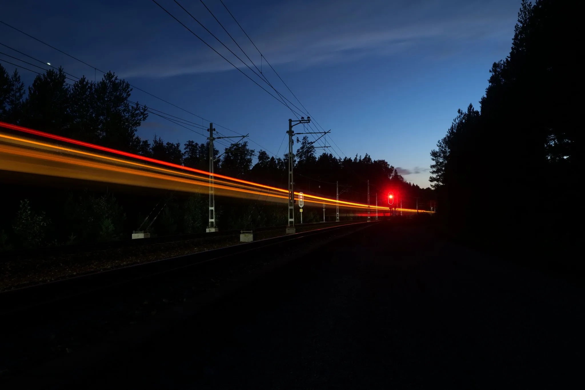 A forrest at night, there is a two track railroad, the signal for the right track is bright red, the signal for the left track shows a mix of a green and red, there are light streaks from a passing train as a main feature of the picutre.