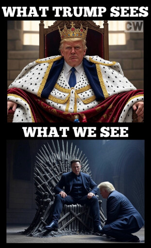 Top panel: "What Trump sees" - Trump in royal robes and a crown sitting on a throne.  Bottom panel: "What we see" - Elon Musk sitting on the Throne of Swords from Game of Thrones, with Trump bending down as if in preparation to kiss his feet.