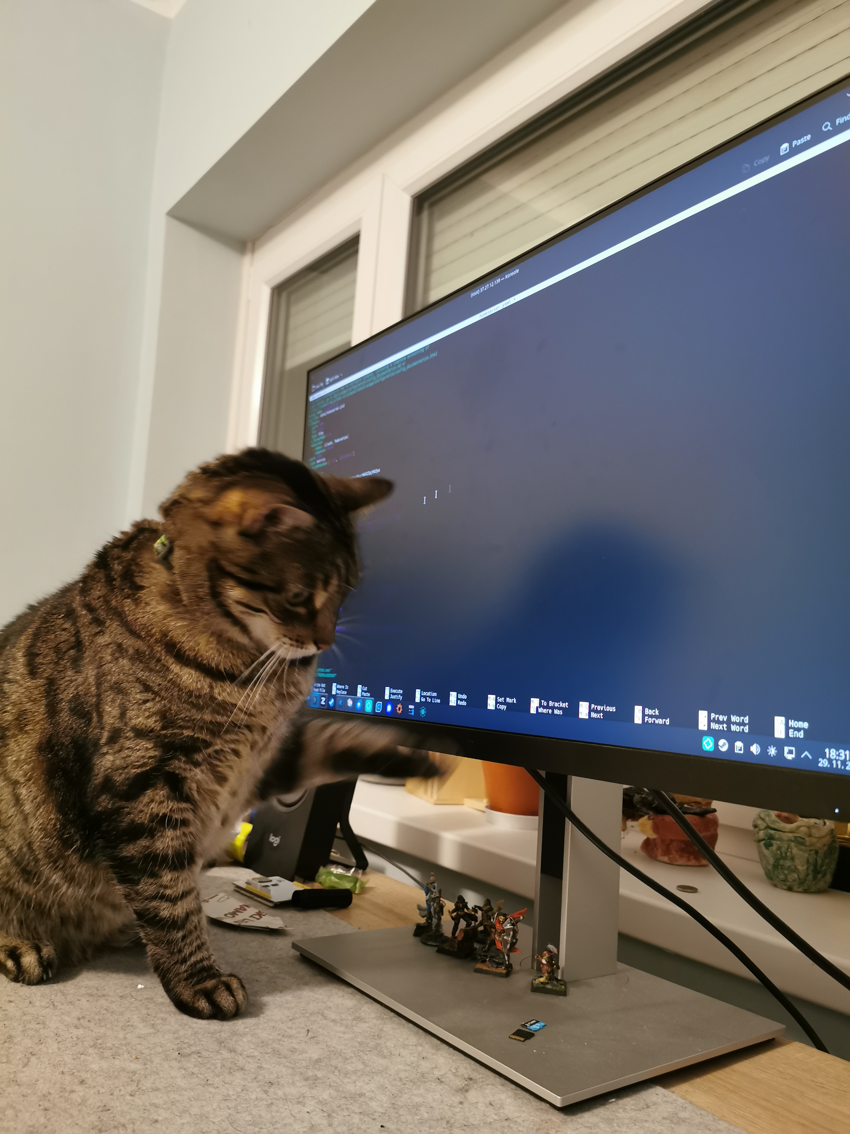 a cat attacking my monitor